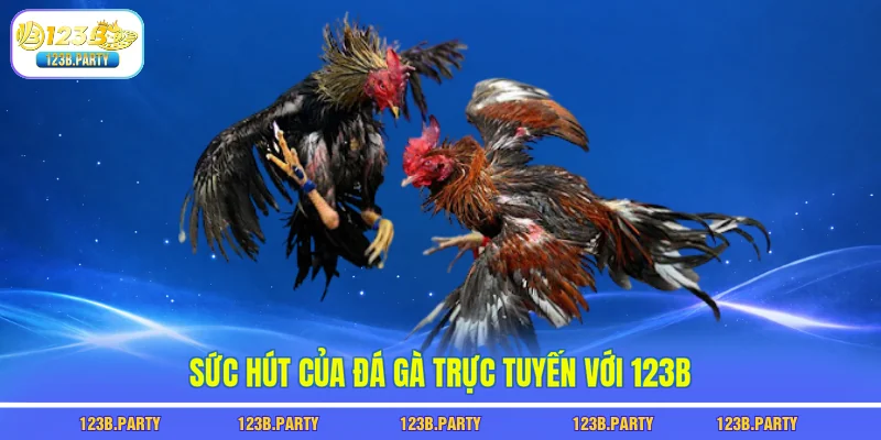 Sức hút của đá gà trực tuyến với 123B